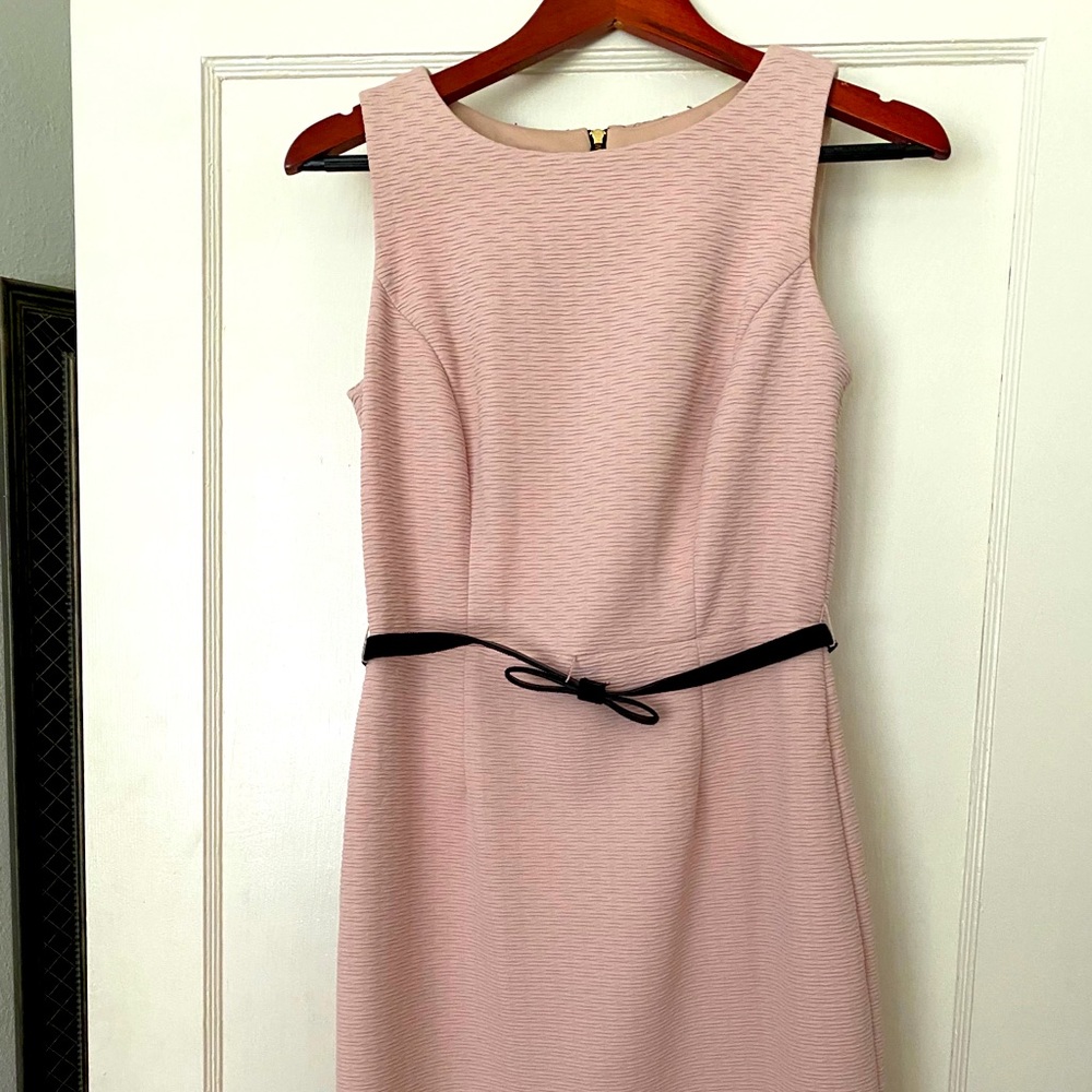 The Limited dress